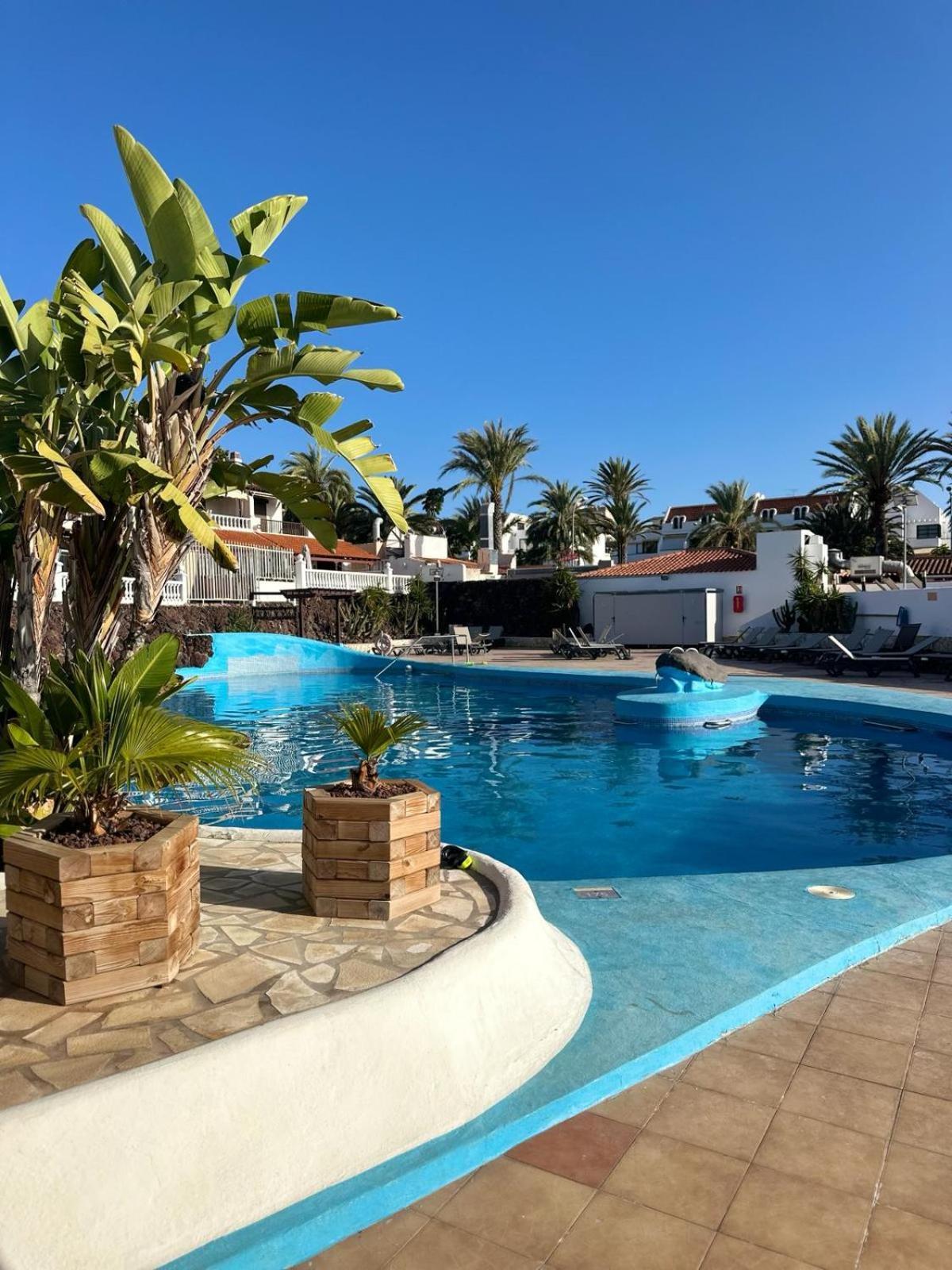 Sunny Sea View Apartment Center Of Las Americas Playa de las Américas Dış mekan fotoğraf